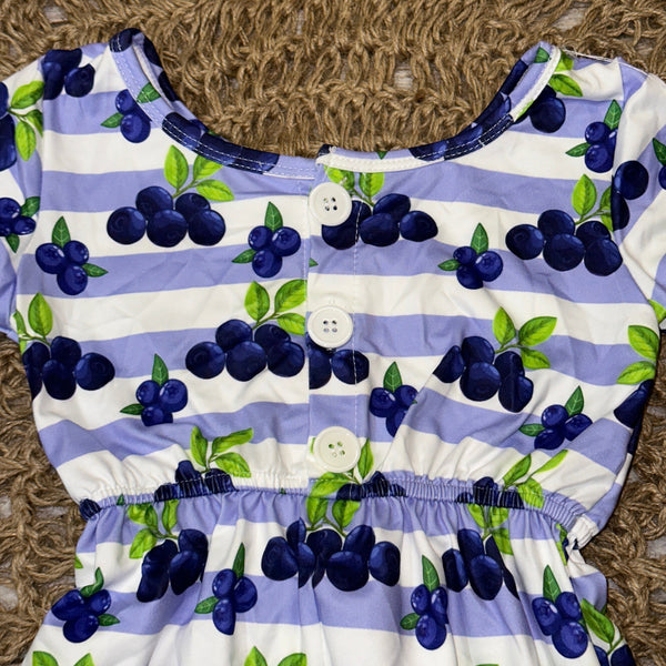 Blueberry Stripe Short Sleeve Romper